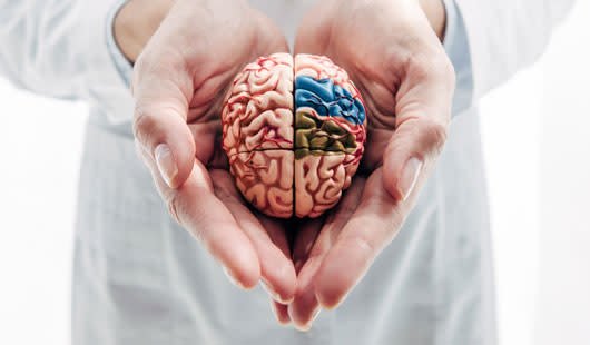 brain-health.jpg