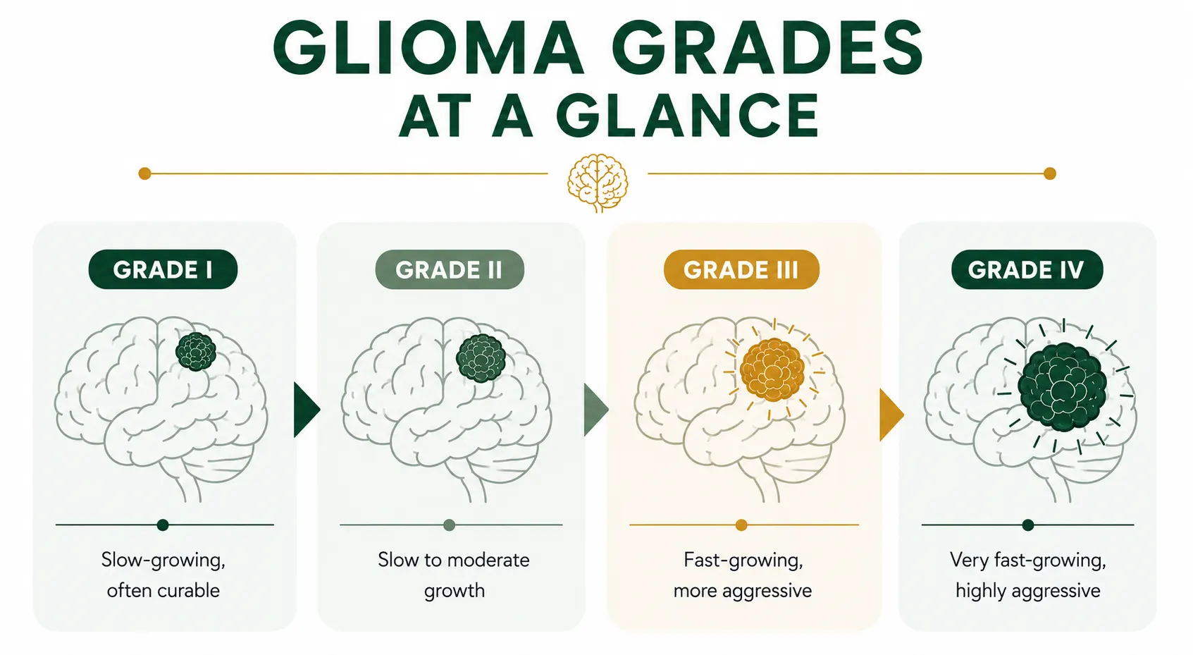 Infographic showing the four WHO grades of glioma and their behaviour. Best neurosurgeon in Delhi NCR. Glioma Treatment in Delhi