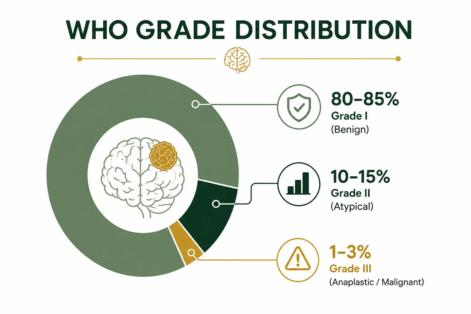 Infographic showing WHO grades of meningioma and common warning signs. Best neurosurgeon in Delhi. Meningioma treatment