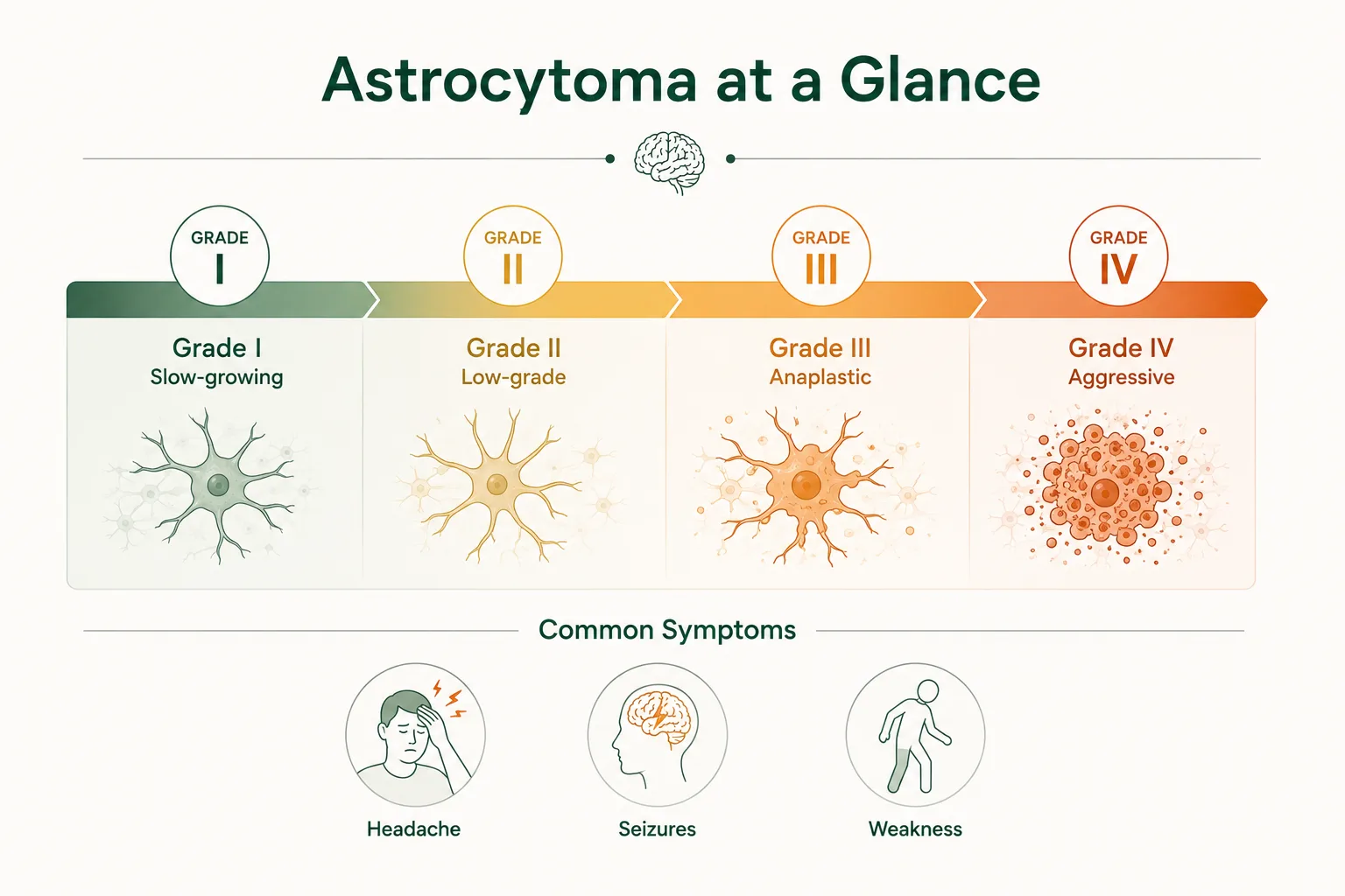 Infographic showing Astrocytoma at a glance.
