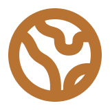 International Standards